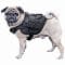 Primal Gear Harnais pour chien Light Dog Harness noir